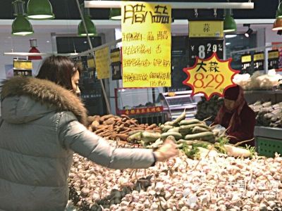 寒绿王韭菜种植技术